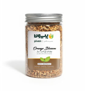 بهارنارنج شیراز