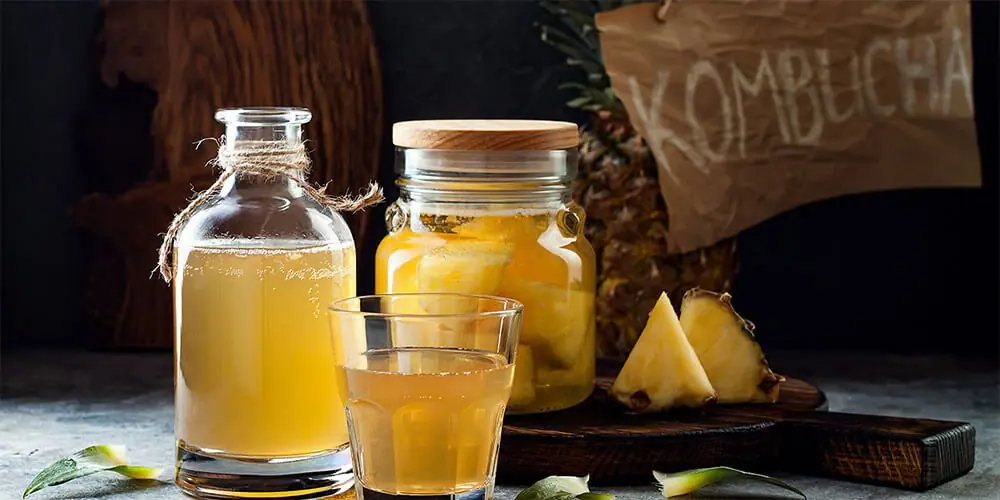 نظر دکتر خیراندیش در مورد کامبوچا