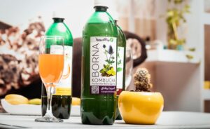 نظر دکتر خیراندیش در مورد کامبوجا